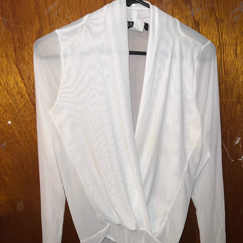 Sheer Deep V-neck Bodysuit